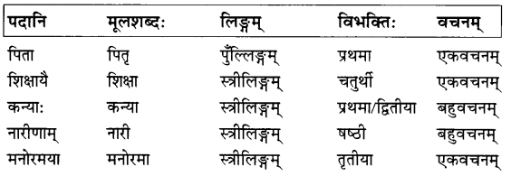 NCERT Solutions for Class 7 Sanskrit Chapter 5 पण्डिता रमाबाई 2