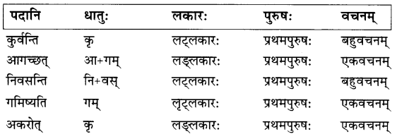 NCERT Solutions for Class 7 Sanskrit Chapter 5 पण्डिता रमाबाई 4