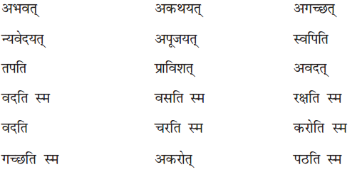 NCERT Solutions for Class 7 Sanskrit Chapter 7 सड.कल्पः सिद्धिदायकः 1