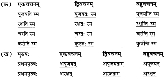 NCERT Solutions for Class 7 Sanskrit Chapter 7 सड.कल्पः सिद्धिदायकः 4