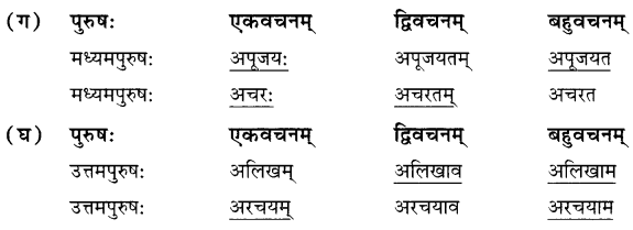 NCERT Solutions for Class 7 Sanskrit Chapter 7 सड.कल्पः सिद्धिदायकः 5