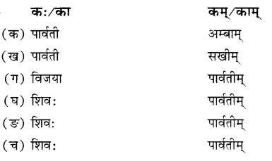 NCERT Solutions for Class 7 Sanskrit Chapter 7 सड.कल्पः सिद्धिदायकः 7