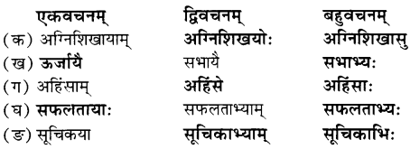 NCERT Solutions for Class 7 Sanskrit Chapter 8 त्रिवर्णः ध्वजः 4