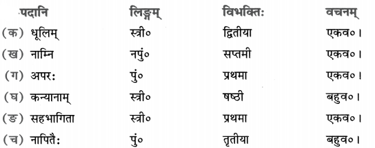 NCERT Solutions for Class 8 Sanskrit Chapter 11 सावित्री बाई फुले 1