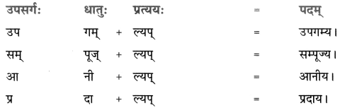 NCERT Solutions for Class 8 Sanskrit Chapter 8 संसारसागरस्य नायकाः 2