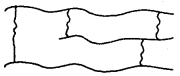 Polymers Class 12 Notes Chemistry 4