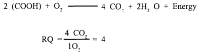 Respiration in Plants Class 11 Important Extra Questions Biology 2