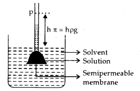 Solutions 12 Notes Chemistry 4