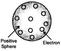 Structure of Atoms Class 11 Notes Chemistry 3