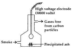 Surface Chemistry 12 Notes Chemistry 20