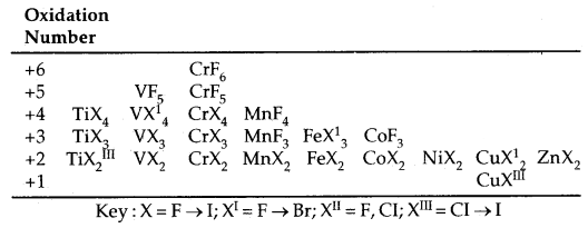 The d-and f-Block Elements Class 12 Notes Chemistry 6