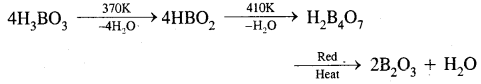 The p-Block Elements Class 11 Important Extra Questions Chemistry 1