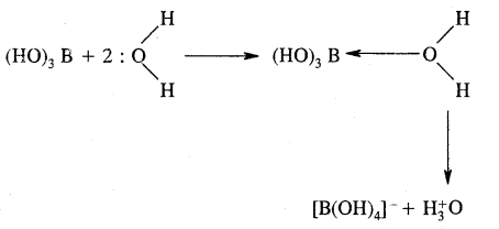 The p-Block Elements Class 11 Important Extra Questions Chemistry 3