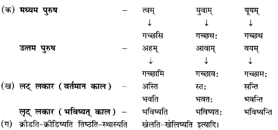 क्रीडास्पर्ध Summary Notes Class 6 Sanskrit Chapter 9