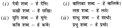मातुलचन्द्र Summary Notes Class 6 Sanskrit Chapter 15