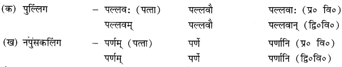 वृक्षाः Summary Notes Class 6 Sanskrit Chapter 5 .2