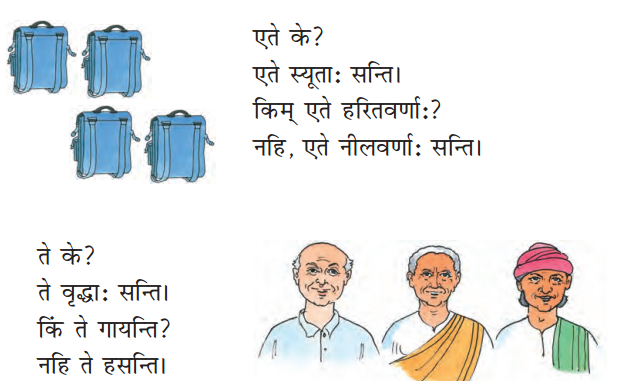 शब्द परिचयः 1 Summary Notes Class 6 Sanskrit Chapter 1.3