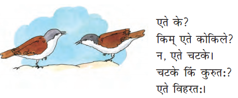 शब्द परिचयः 2 Summary Notes Class 6 Sanskrit Chapter 2.2