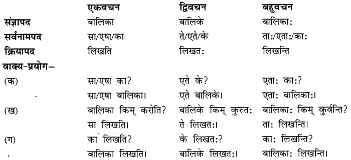 शब्द परिचयः 2 Summary Notes Class 6 Sanskrit Chapter 2