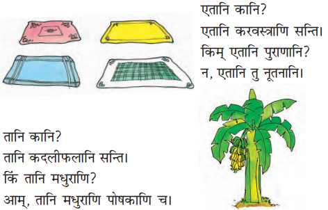 शब्द परिचयः 3 Summary Notes Class 6 Sanskrit Chapter 3.3