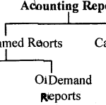 Accounting System Using Database Management System Class 11 Notes Accountancy 1