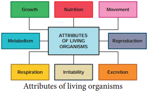 Attributes of Living Organisms img 1