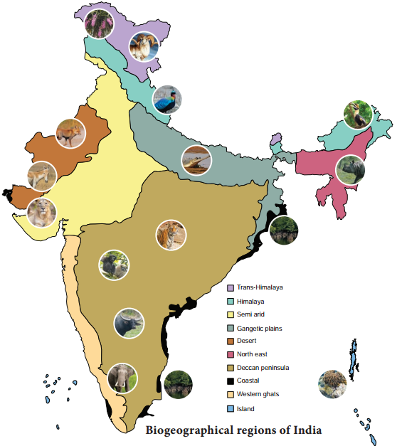 Biogeographical Regions Of India img 1