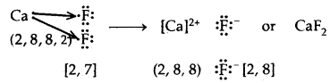 Chemical Bonding and Molecular Structure Class 11 Notes Chemistry 3