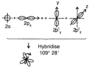 Chemical Bonding and Molecular Structure Class 11 Notes Chemistry 45