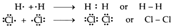 Chemical Bonding and Molecular Structure Class 11 Notes Chemistry 5