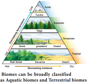 Concept of Biome and Their Distribution