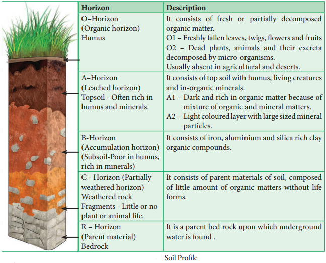 Ecological Factors img 7