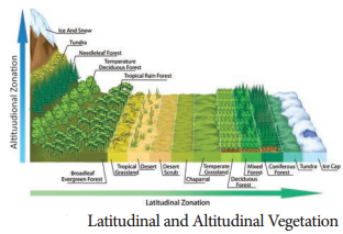 Ecological Factors img 8