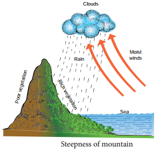 Ecological Factors img 9