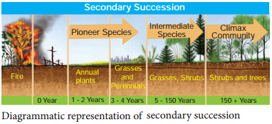 what is climax community in biology