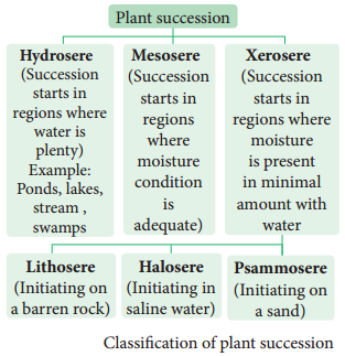 Ecological Plant Succession img 4