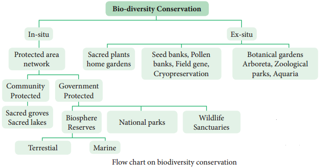 Environmental Conservation Issues img 1