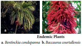 Environmental Conservation Issues img 3