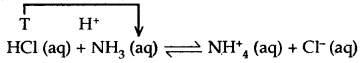 Equilibrium Class 11 Notes Chemistry 11