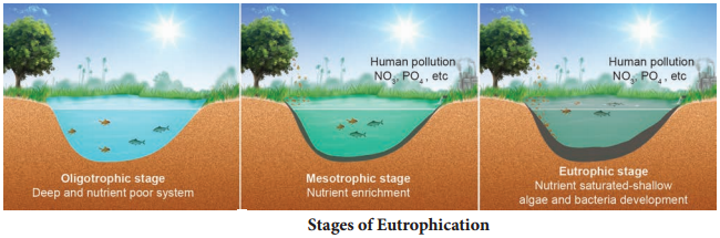 Eutrophication img 1