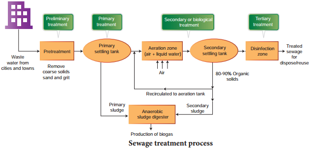 Eutrophication img 2