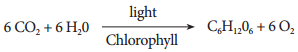 Functions Of Ecosystem img 3