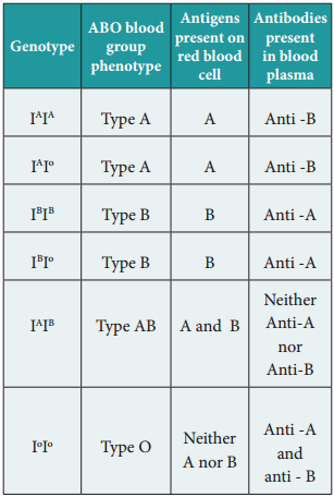 Human Blood Groups img 1