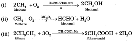Hydrocarbons Class 11 Notes Chemistry 21