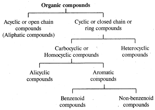 Organic Chemistry Some Basic Principles and Techniques Class 11 Notes Chemistry 10