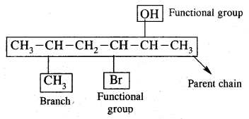 Organic Chemistry Some Basic Principles and Techniques Class 11 Notes Chemistry 18