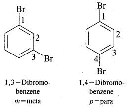Organic Chemistry Some Basic Principles and Techniques Class 11 Notes Chemistry 33