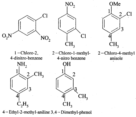 Organic Chemistry Some Basic Principles and Techniques Class 11 Notes Chemistry 34