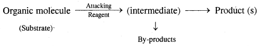Organic Chemistry Some Basic Principles and Techniques Class 11 Notes Chemistry 47