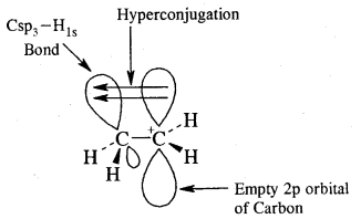 Organic Chemistry Some Basic Principles and Techniques Class 11 Notes Chemistry 63